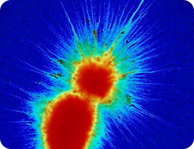 Lorem ipsum dolor sit, consectetur adipiscing elit, sed do eiusmod.